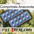 Comprimés Anaconda viagra4